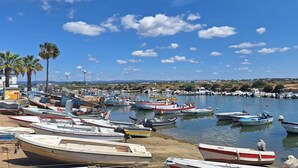 Un puerto deportivo con varios barcos amarrados, palmeras y un cielo azul despejado.