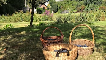 Área da propriedade