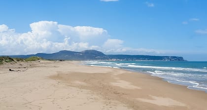 Mare Nostrum 223 - Près de la plage