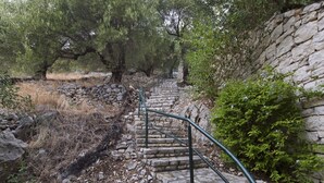 Un escalier en pierre avec des rampes en métal, entouré d’oliviers et d’un mur de pierre.