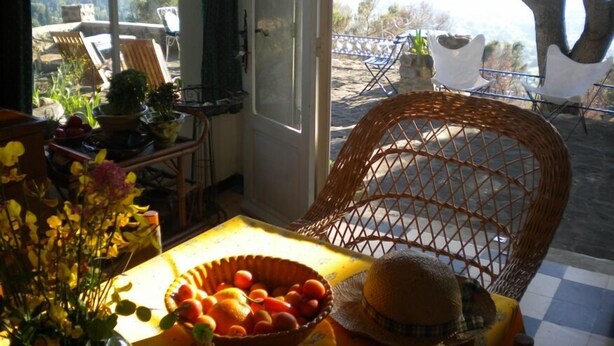Ein Korbsessel mit Hut, Obstschale und einem Tisch mit Blumen.