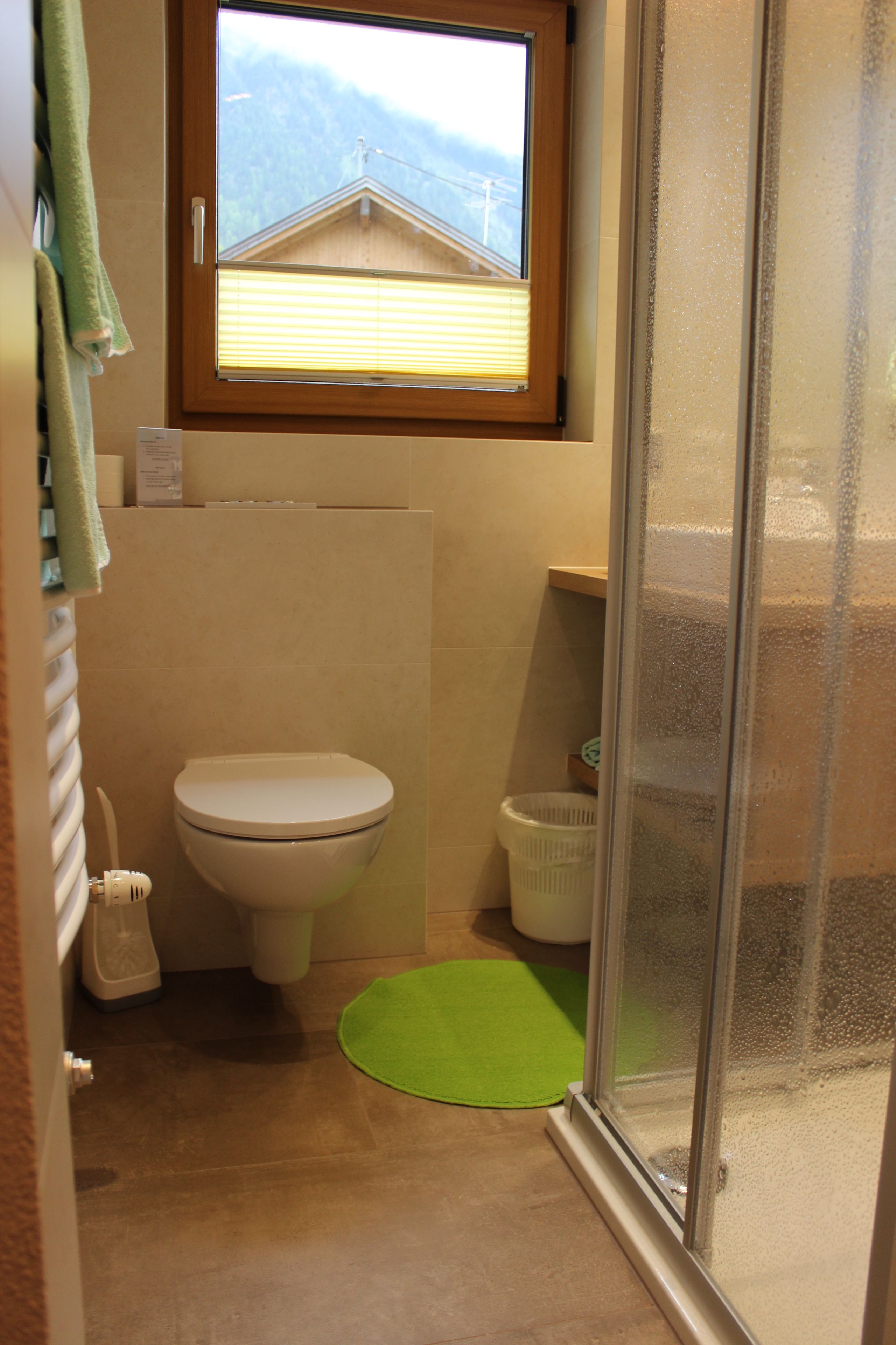 Ein Badezimmer mit Toilette, einer grünen Matte, einem Fenster mit Blick auf ein Gebäude und einer Duschkabine aus Glas.