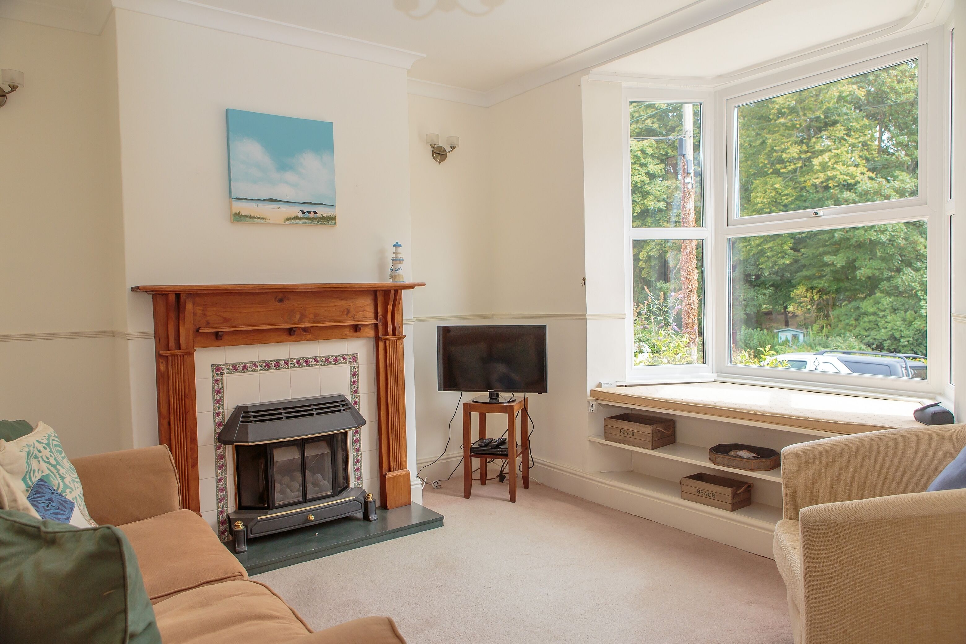 Smart TV, fireplace, DVD player, books