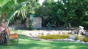 A bench in a garden with a pond and a stone wall. - Modern Villa in a quiet spot, with a large private  swimming pool (Espiche  Luz Lagos)