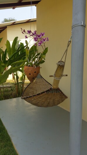 Property amenity - Longan Tree (Saraphi)