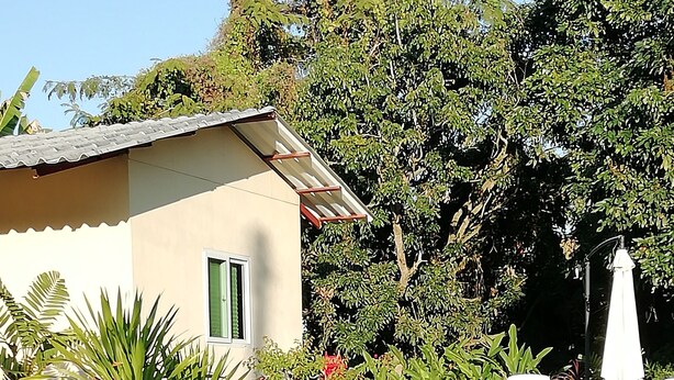 A swimming pool with a tiled edge, surrounded by a garden with various plants and a small building with a sloped roof. - Longan Tree (Saraphi)
