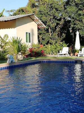 Una piscina con borde de azulejos, rodeada de un jardín con diversas plantas y un pequeño edificio con tejado inclinado.