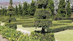 A landscaped garden with neatly trimmed hedges and trees, a paved walkway, and a distant mountain range. - Longan Tree (Saraphi)