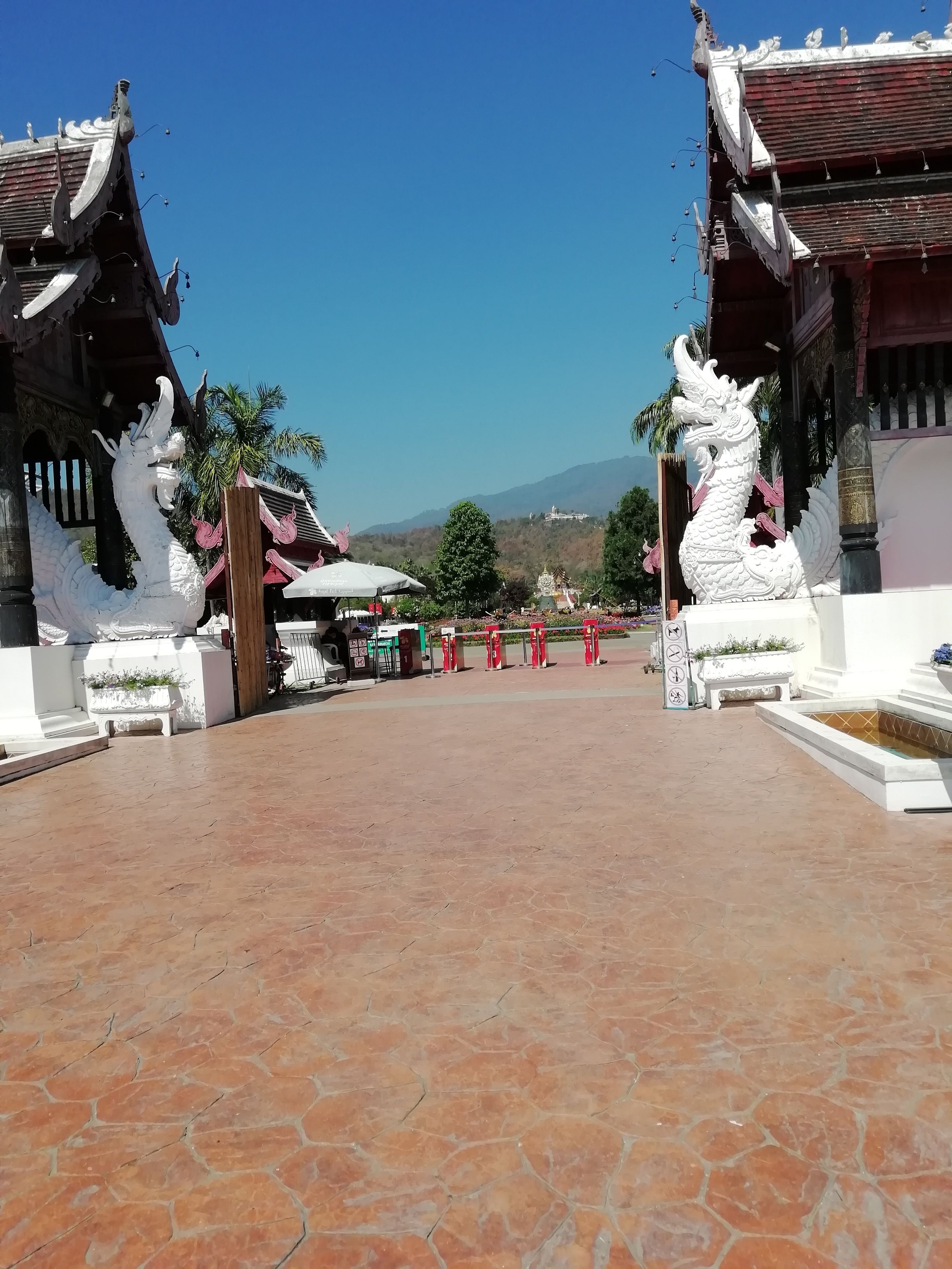A temple entrance with traditional architecture, including ornate dragon sculptures and tiled flooring.