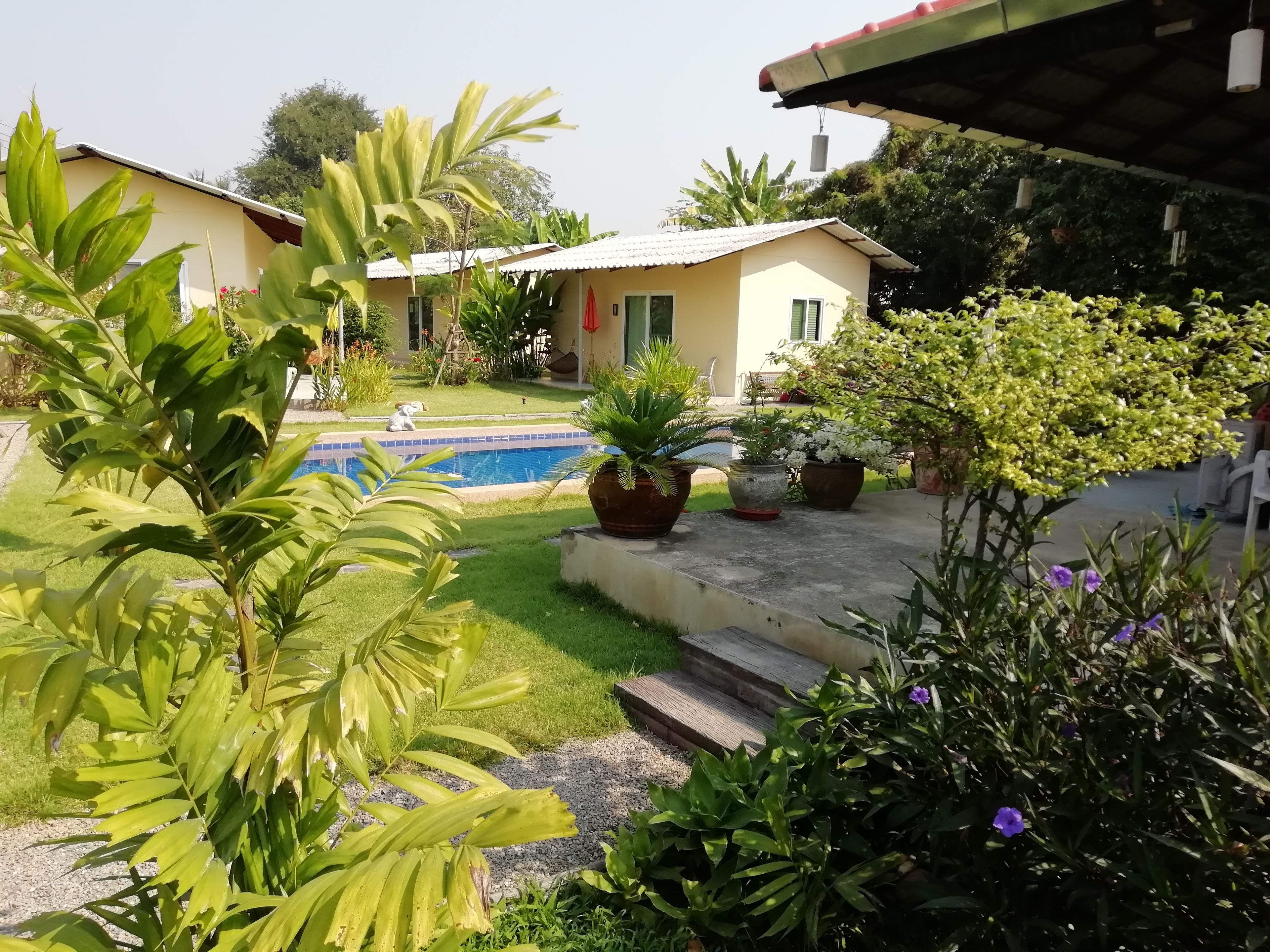Zona residencial con piscina, plantas en macetas y una casa con techo de tejas.