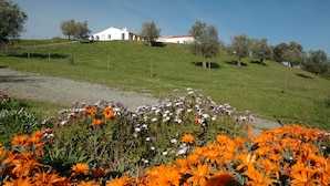 Un edificio blanco con techo rojo en una colina cubierta de césped, rodeado de árboles y flores anaranjadas.