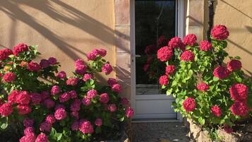 DĂ©tail de lâextĂ©rieur