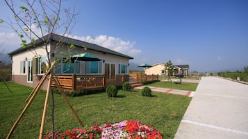 Terasz/udvar
