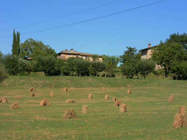 A rural landscape with hay bales in a field, trees, and two stone buildings with tiled roofs. - Independent house in the hills of the Sienese countryside (Siena)
