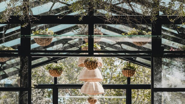 A person performing a yoga pose in a glass-enclosed pavilion with hanging planters and a view of trees. - Finca Serena Mallorca, Small Luxury Hotels (Montuiri)