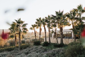 Exterior - Finca Serena Mallorca, Small Luxury Hotels (Montuiri)