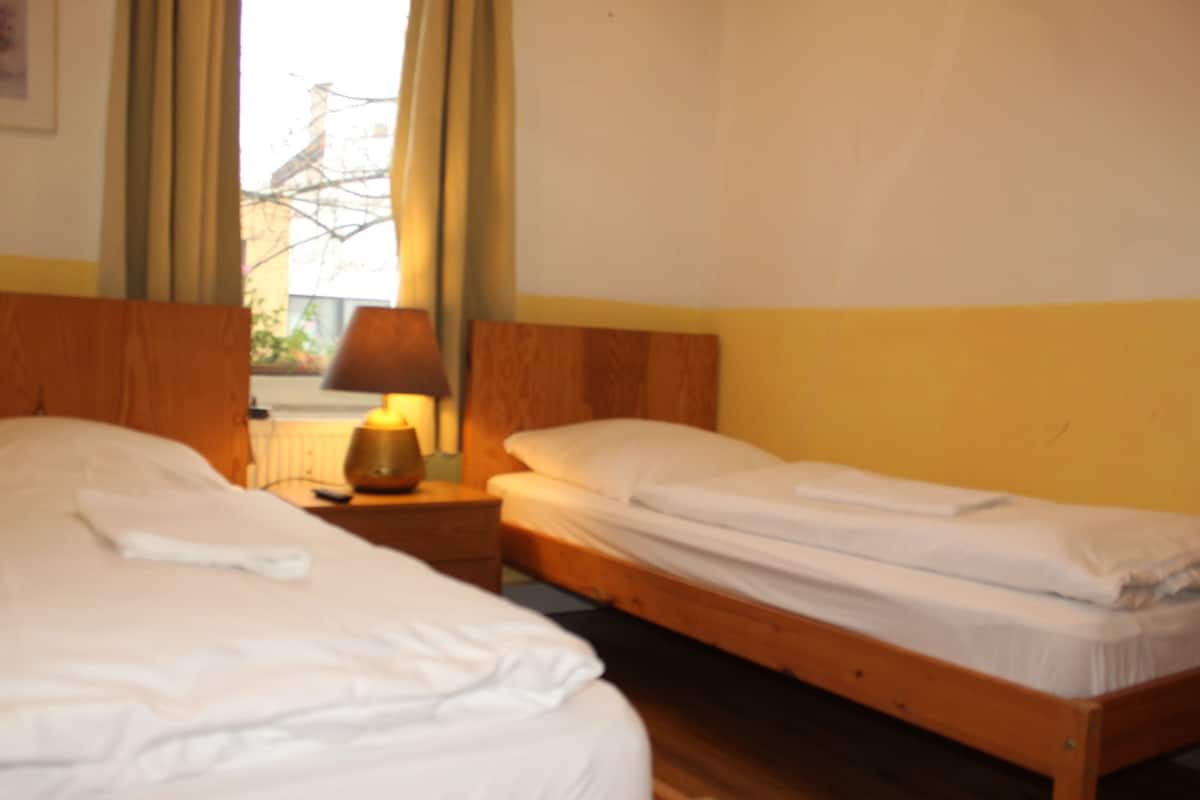 A room with two single beds, wooden headboards, a bedside table with a lamp, and a window with curtains.