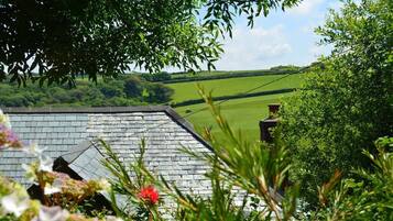 Vista desde la propiedad