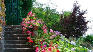 Un escalier en pierre mène à un jardin où l’on peut admirer différentes espèces de plantes à fleurs.