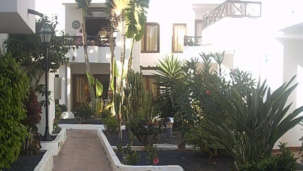 A pathway leading to a building with a white facade, surrounded by various plants and a palm tree. - 2 Bed Ground Floor in small complex and close to all amenities 1 minute seafront (Puerto del Carmen)
