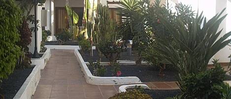 Terrain de lâhĂ©bergement