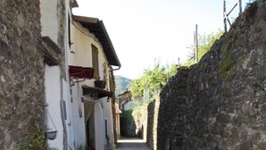 A narrow stone-paved alleyway flanked by buildings with stone walls and a small potted plant. - Charming House in an Authentic Italian Mountain Village (Rezzo)