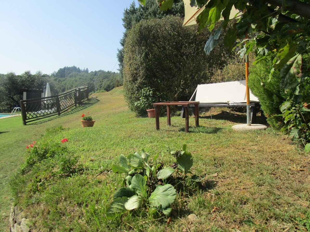 A garden with a wooden bench, a table, and potted plants.