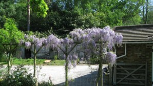 A garden with purple flowering trees, a brick building, and a fenced area. - Private, spacious, elegant flat with lovely views, in a beautiful area (Westcott)