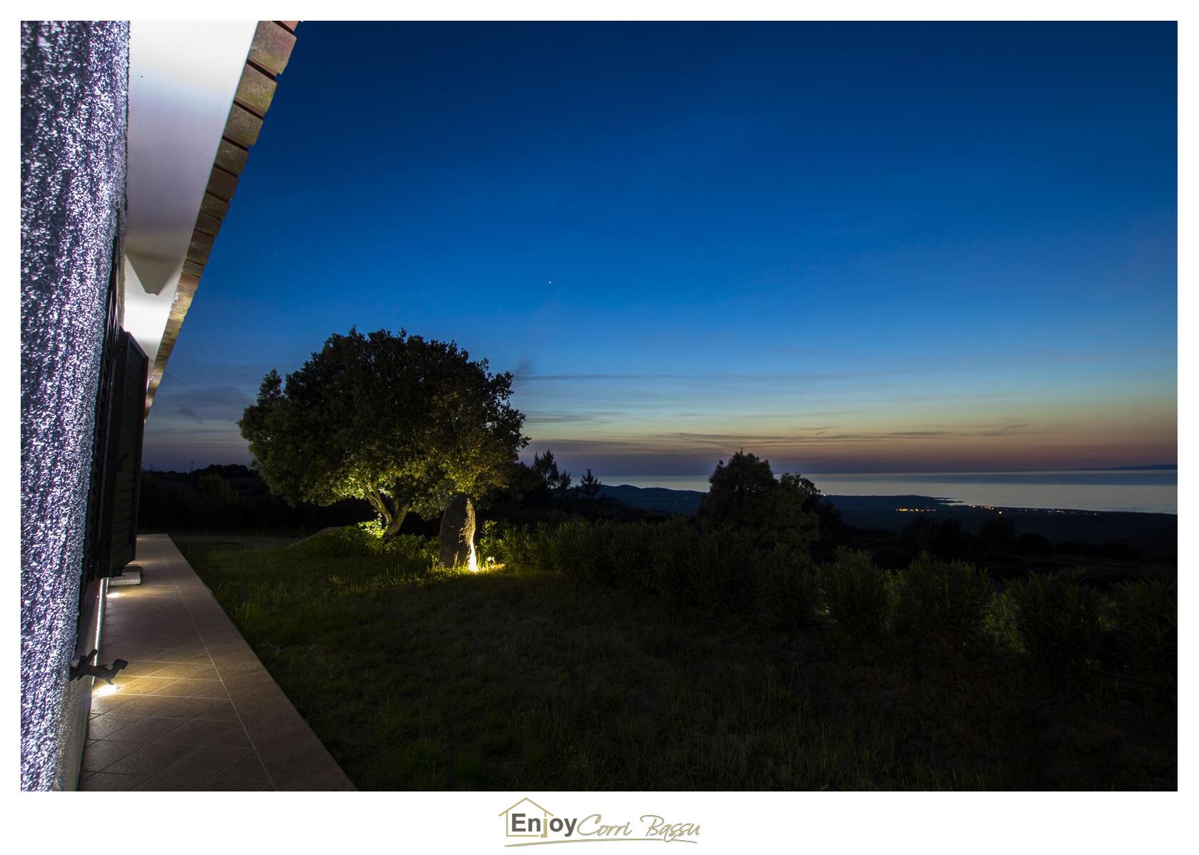 A nighttime view of a property with a large tree illuminated by lights, a clear sky, and a distant view of a body of water.