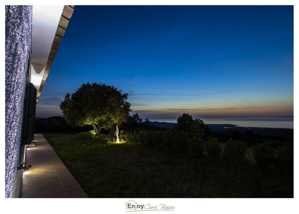 A nighttime view of a property with a large tree illuminated by lights, a clear sky, and a distant view of a body of water.