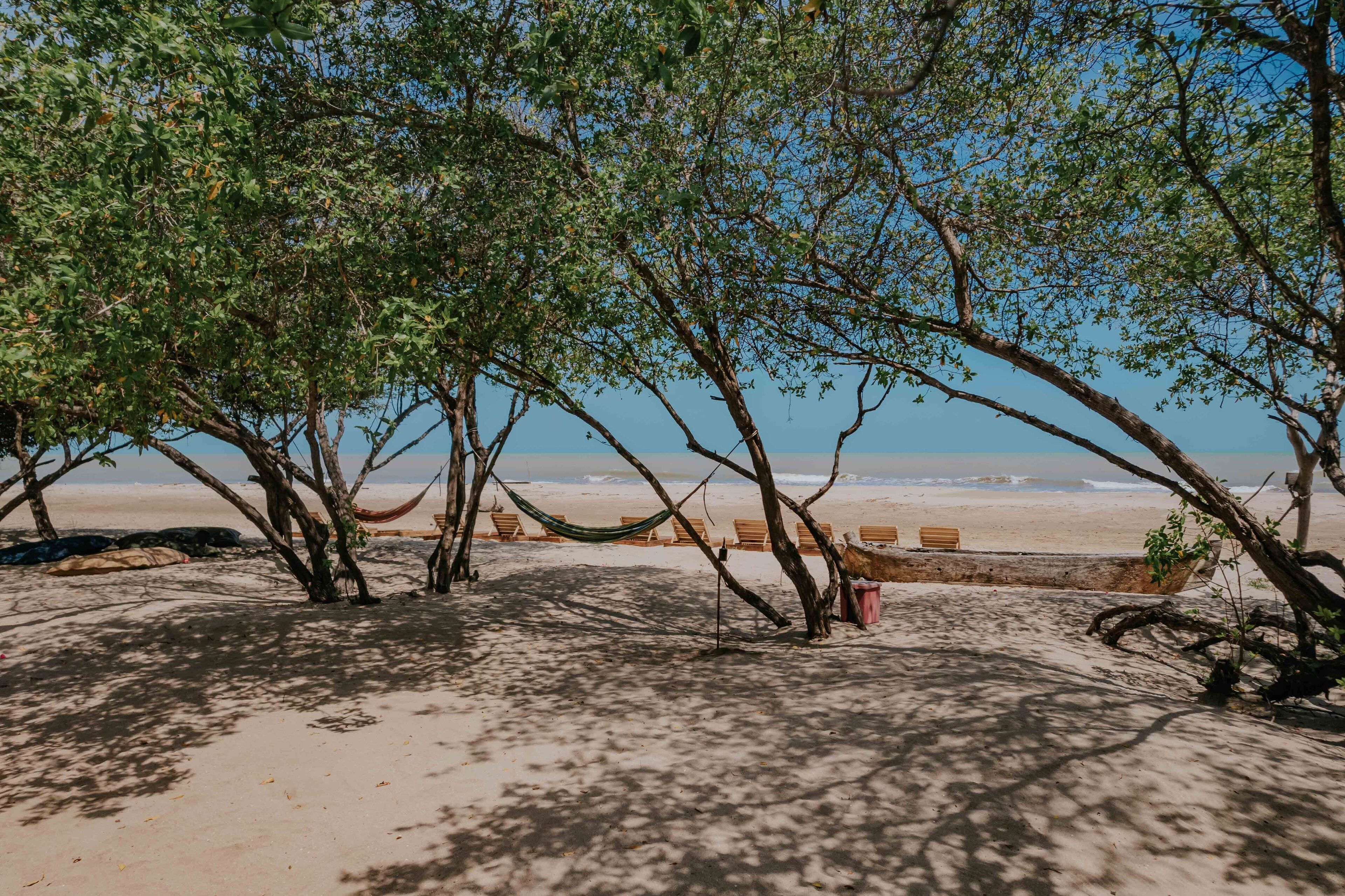 Platja amb gandules i bancs de fusta a l'ombra dels arbres.