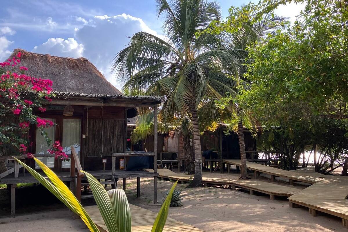 A wooden structure with a thatched roof, surrounded by palm trees and a sandy ground.