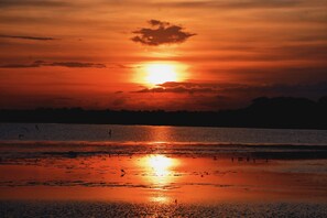 Sur la plage, cabana (gratuite), serviettes de plage, bar sur la plage