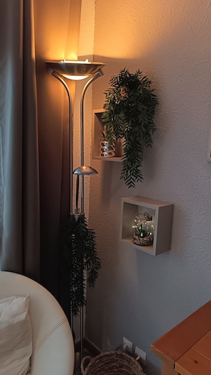 A corner of a room with a floor lamp, a shelf with plants, and a small cabinet. - apartments - 3 rooms - 4/6 persons (Saint-Mandrier-Sur-Mer)