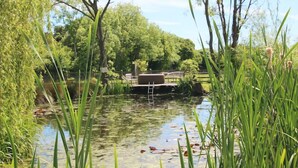A serene pond with a wooden bridge and surrounding lush greenery.