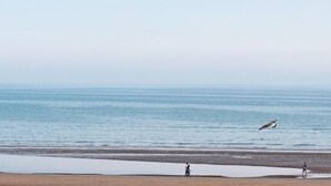 A beach with a calm sea, a few people walking, and a seagull flying.