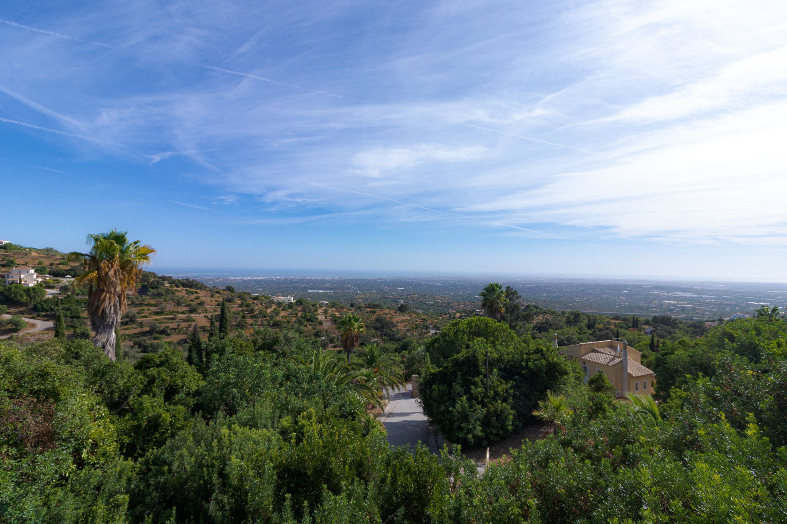 A landscape view with a building surrounded by greenery and a clear sky.