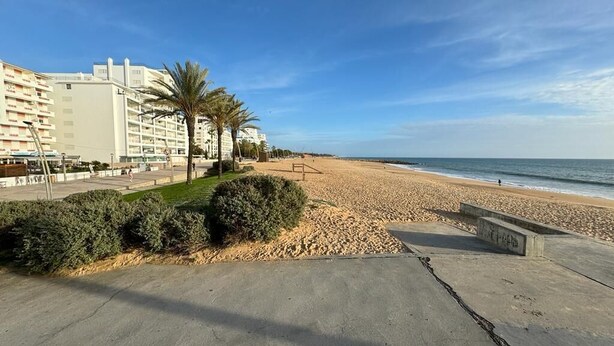 Een boulevard aan het strand met een betonnen pad, palmbomen en een zandstrand.
