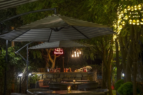 Bar (en la propiedad)