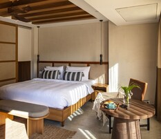 Minibar, escritorio, sistema de insonorización y wifi gratis 