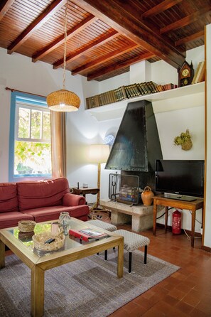 TV, fireplace, books