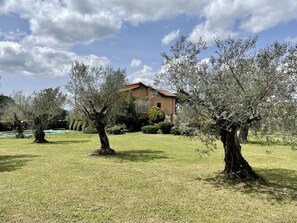 Áreas de la propiedad