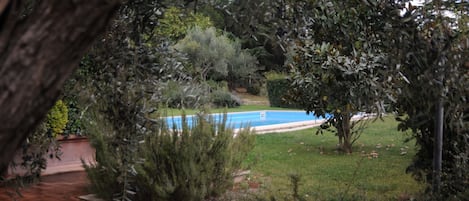 Alberca