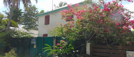 A building with a green fence, a wooden gate, and pink flowering trees.