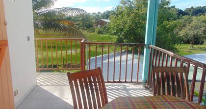 Caribgites, the Butterfly studio