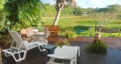 Caribgites, the Butterfly studio