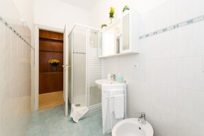 Shower, hair dryer, bidet, towels