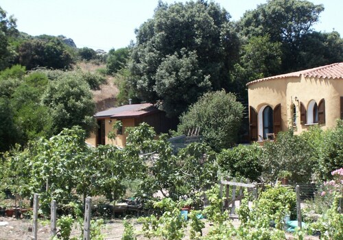 Enchanting Country Villa in a Lush Valley with Animals, Pool, Outdoor Jacuzzi 