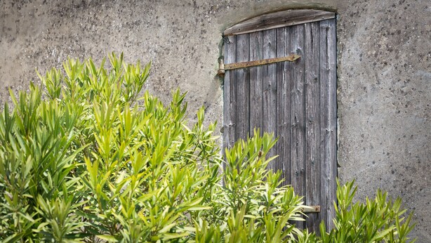 Une porte en bois rustique, dotée d’un loquet en métal, se dresse sur un mur en béton brut.