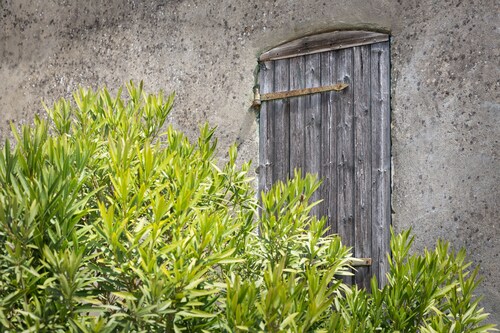 Saint Seurin De Cursac: House / Villa - Saint-Seurin-de-Cursac